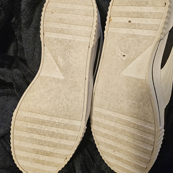 Pumas - Picture 2 of 3